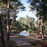 Naturcampingplatz De Vlagberg, campen in der Natur
