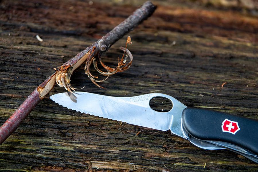 Victorinox Trailmaster Messer - Test & Erfahrungsbericht
